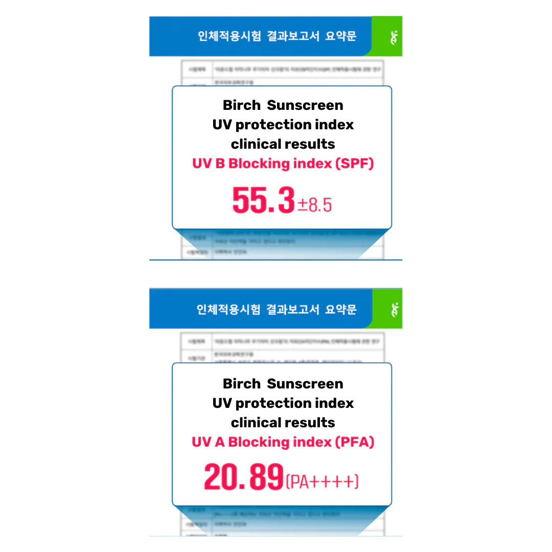 Round Lab - Birch Moisturizing Mild-Up Sunscreen SPF 50+, PA++++ (50mL)