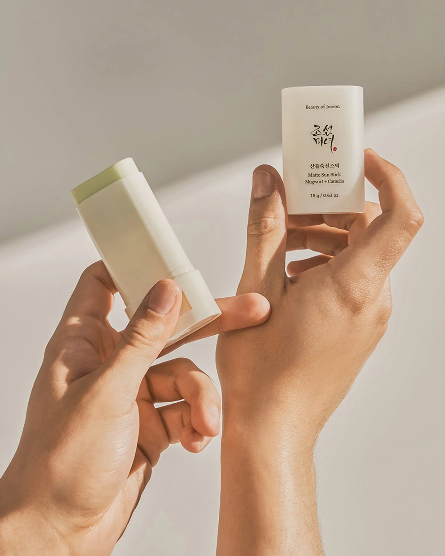 Beauty of Joseon - Matte Sun Stick : Mugwort+Camelia (SPF 50+ PA++++)