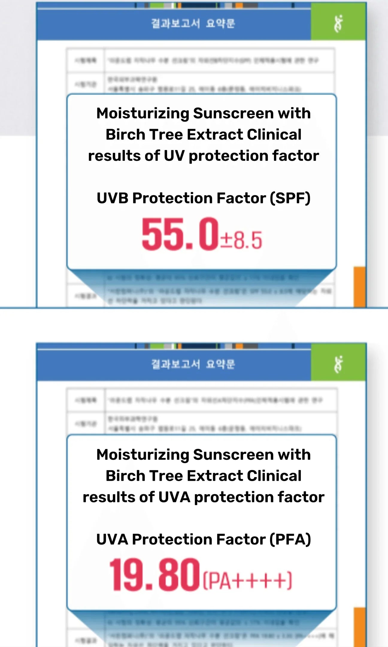 Round Lab - Birch Juice Moisturising Sunscreen