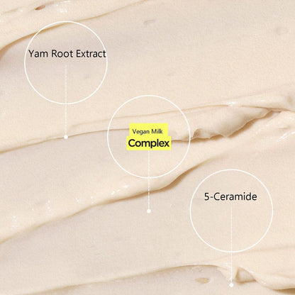 ISNTREE Yam Root Vegan Milk Cream 80ml